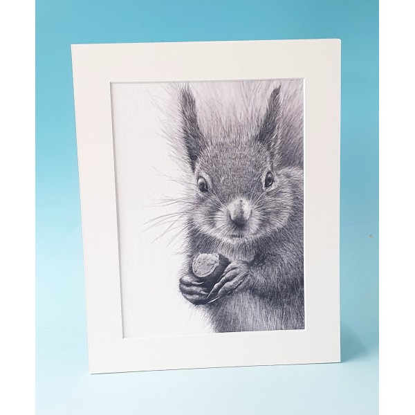 8420 Mounted Print-Mark Charles-Squirrel